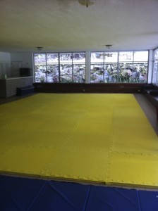 The training area, in the pool house!