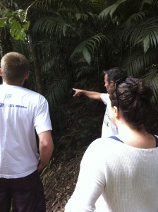Professor Sauer pointing out the abundantly growing acai plants.